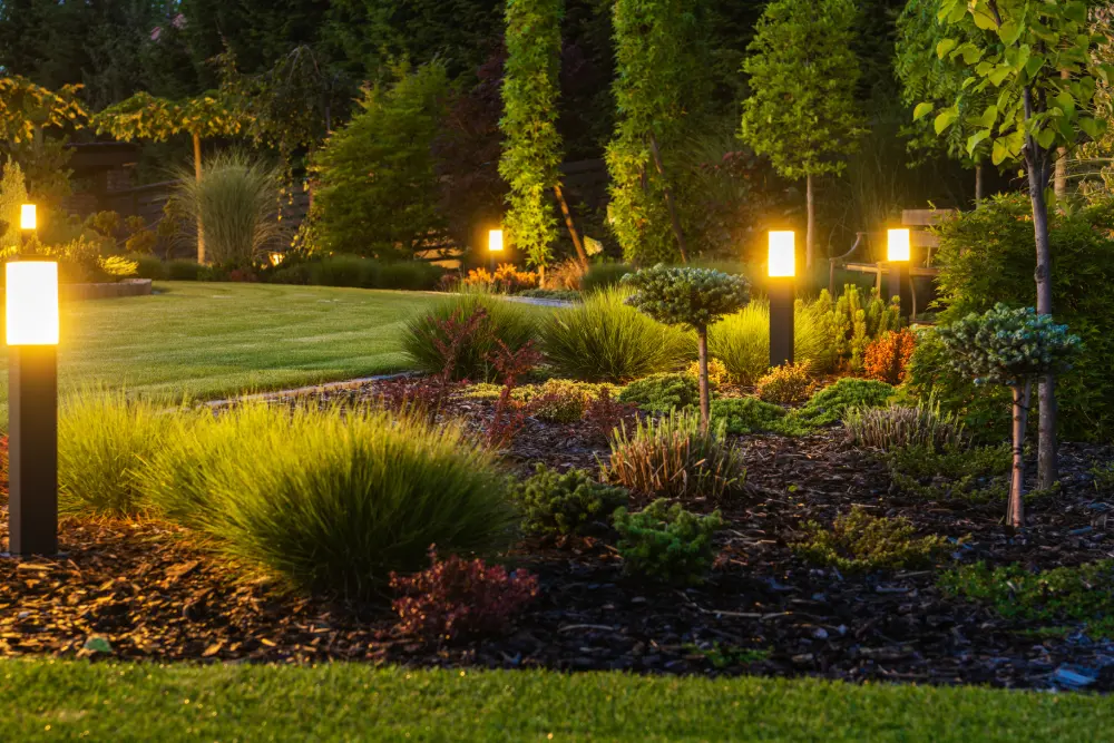 Outdoor Lighting Installation