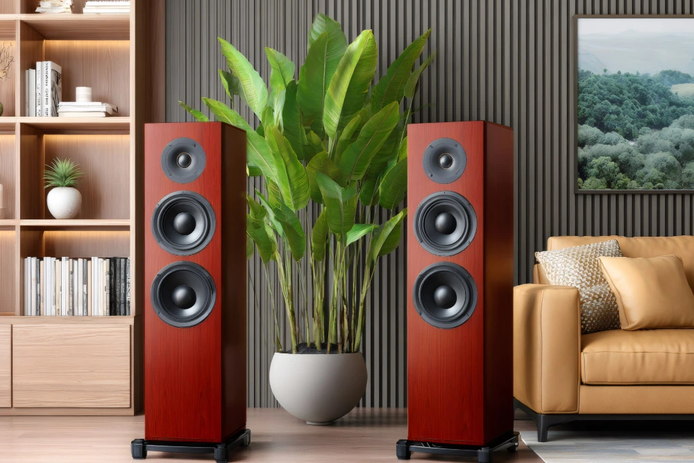 Acoustic Design and Speaker Placement