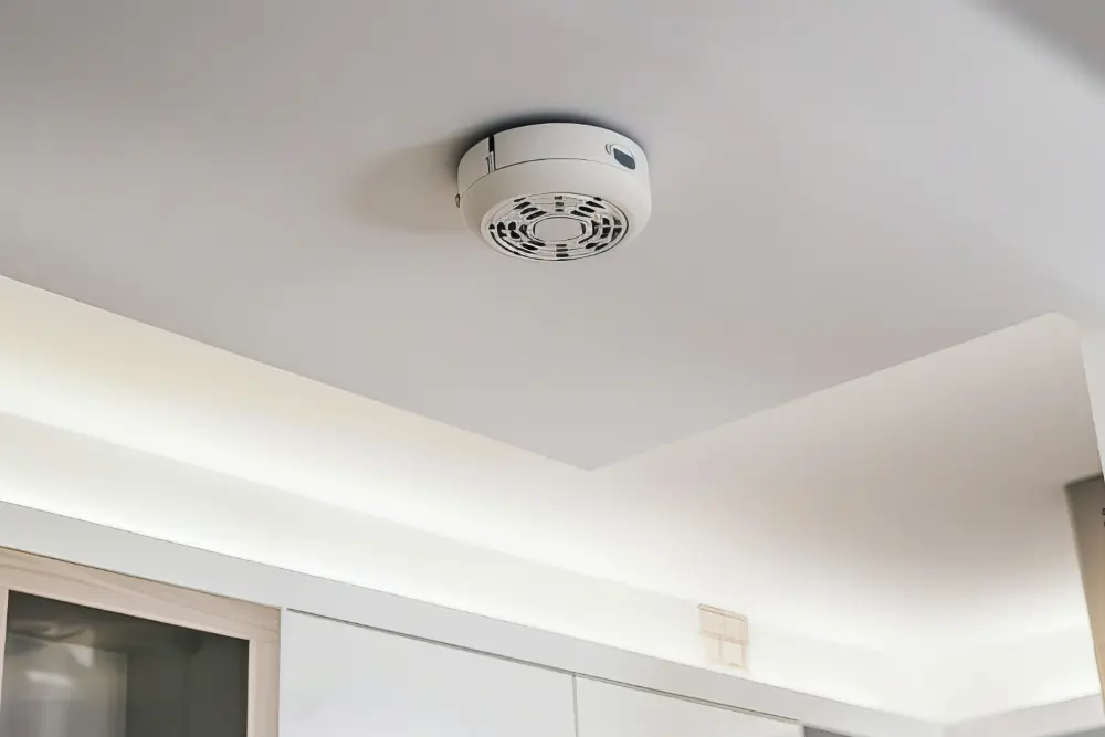 A Vision-Centered Smoke Detector Experience